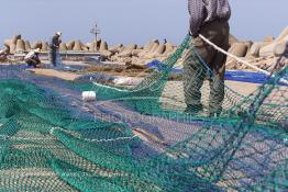 Image du Maroc Professionnelle de  Des ouvriers s'activent à réparer leurs filets de pêches au port de Laayoune, située à quelque kilomètre de la ville de Laayoune capitale du Sahara marocain, Vendredi 21 Septembre 2001. (Photo / Abdeljalil Bounhar) 